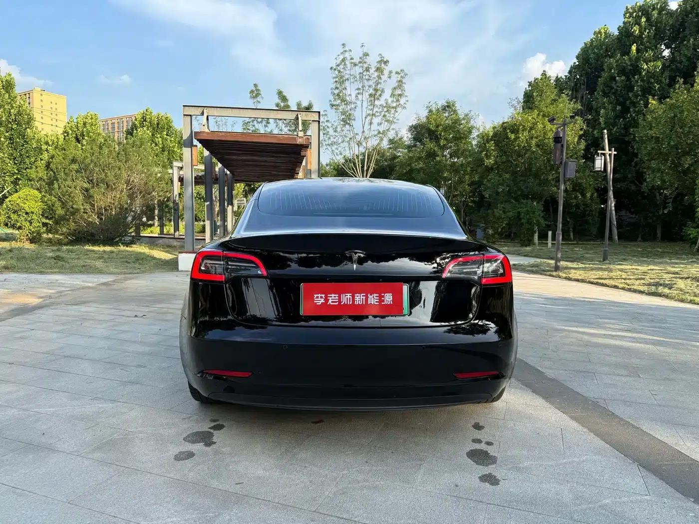 Model 3 2020 Standard Range Rear-Wheel Drive Upgrade — миниатюра 7