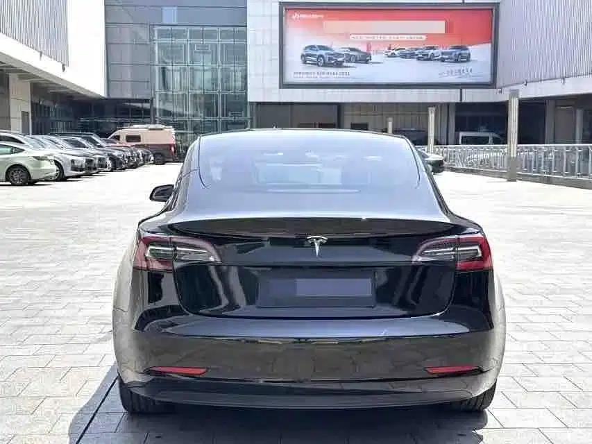 Model 3 2021 Standard Range Rear-Wheel Drive Upgrade 3D6 — миниатюра 8
