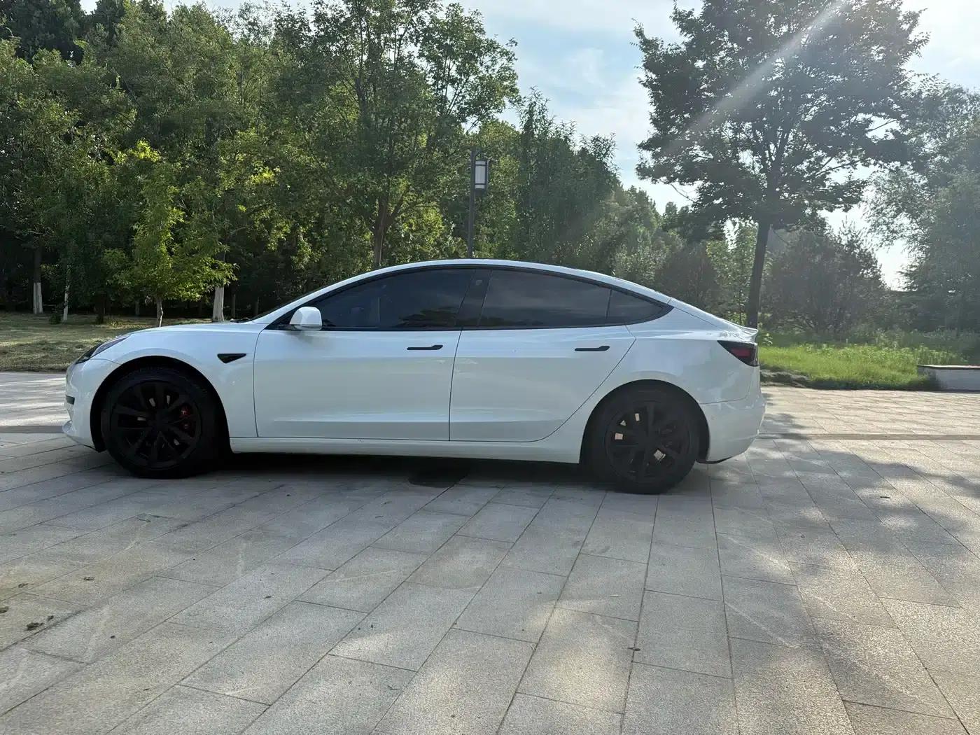 Model 3 2020 Standard Range Rear-Wheel Drive Upgrade — миниатюра 5