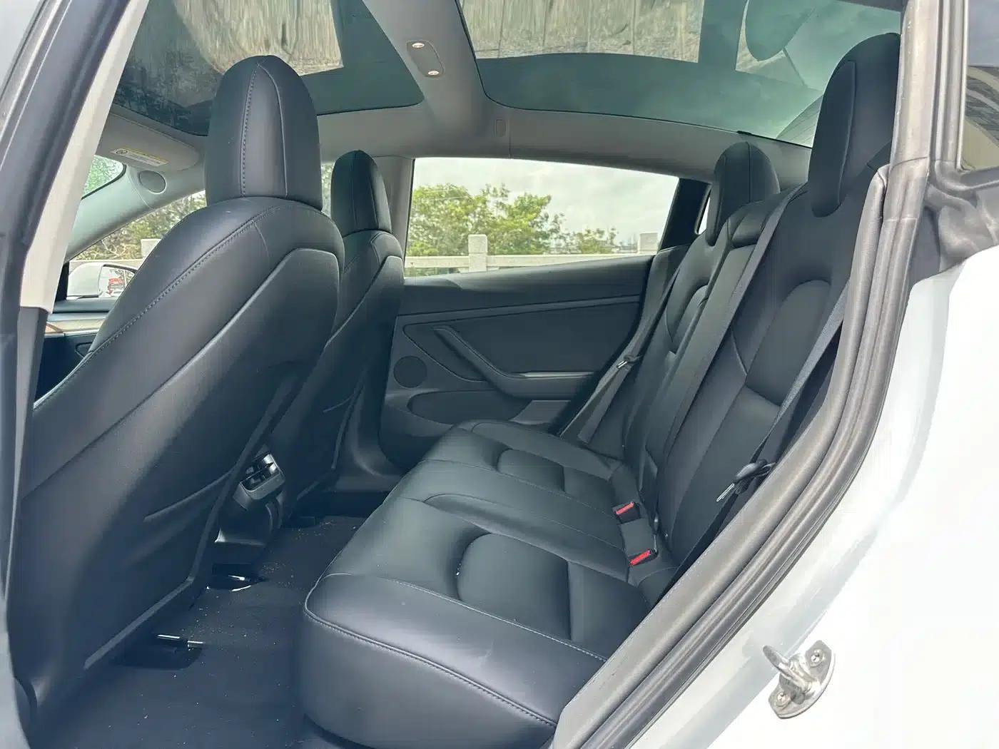 Model 3 2021 Facelift Standard Range Rear-Wheel Drive Upgrade Version 3D1 — миниатюра 6