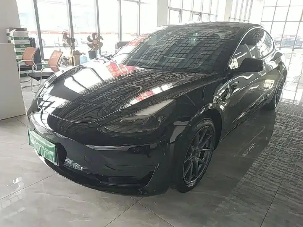 Model 3 2021 Standard Range Rear-Wheel Drive Upgrade 3D6 — миниатюра 2