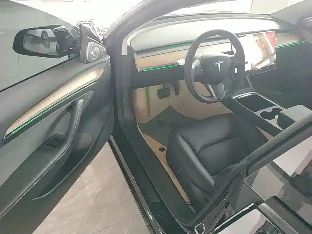Model 3 2021 Standard Range Rear-Wheel Drive Upgrade 3D6 — миниатюра 16