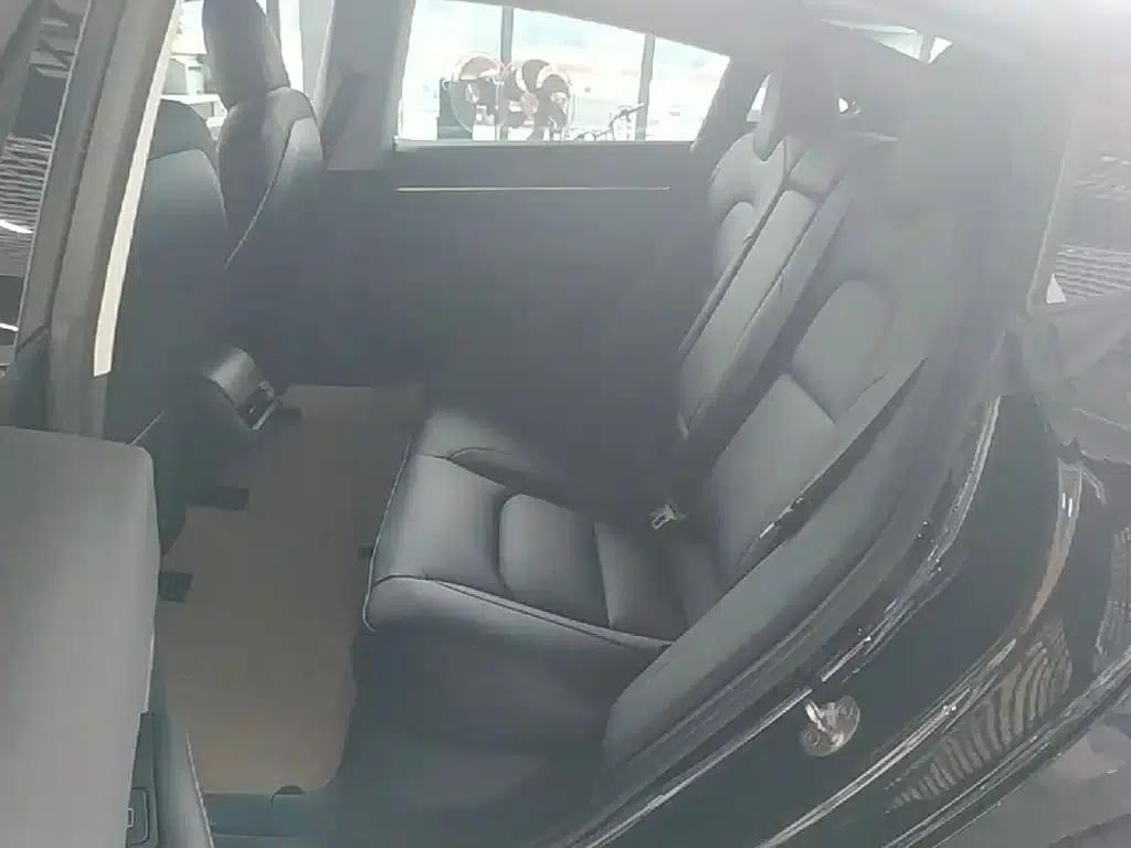 Model 3 2021 Standard Range Rear-Wheel Drive Upgrade 3D6 — миниатюра 17