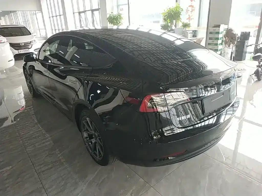 Model 3 2021 Standard Range Rear-Wheel Drive Upgrade 3D6 — миниатюра 5
