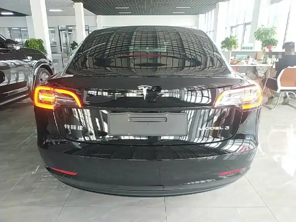 Model 3 2021 Standard Range Rear-Wheel Drive Upgrade 3D6 — миниатюра 6