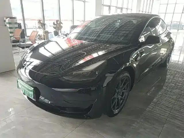 Model 3 2021 Standard Range Rear-Wheel Drive Upgrade 3D6