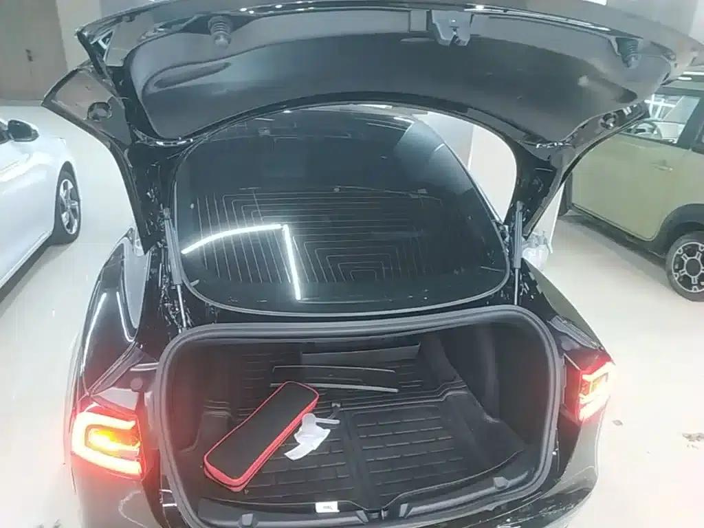 Model 3 2020 Standard Range Rear-Wheel Drive Upgrade — миниатюра 19