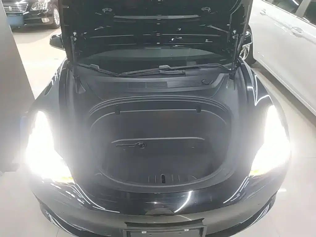 Model 3 2020 Standard Range Rear-Wheel Drive Upgrade — миниатюра 20