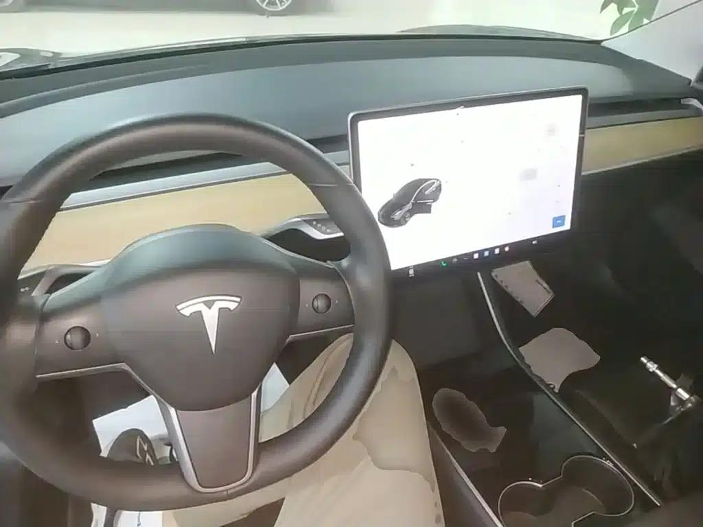 Model 3 2020 Standard Range Rear-Wheel Drive Upgrade — миниатюра 10