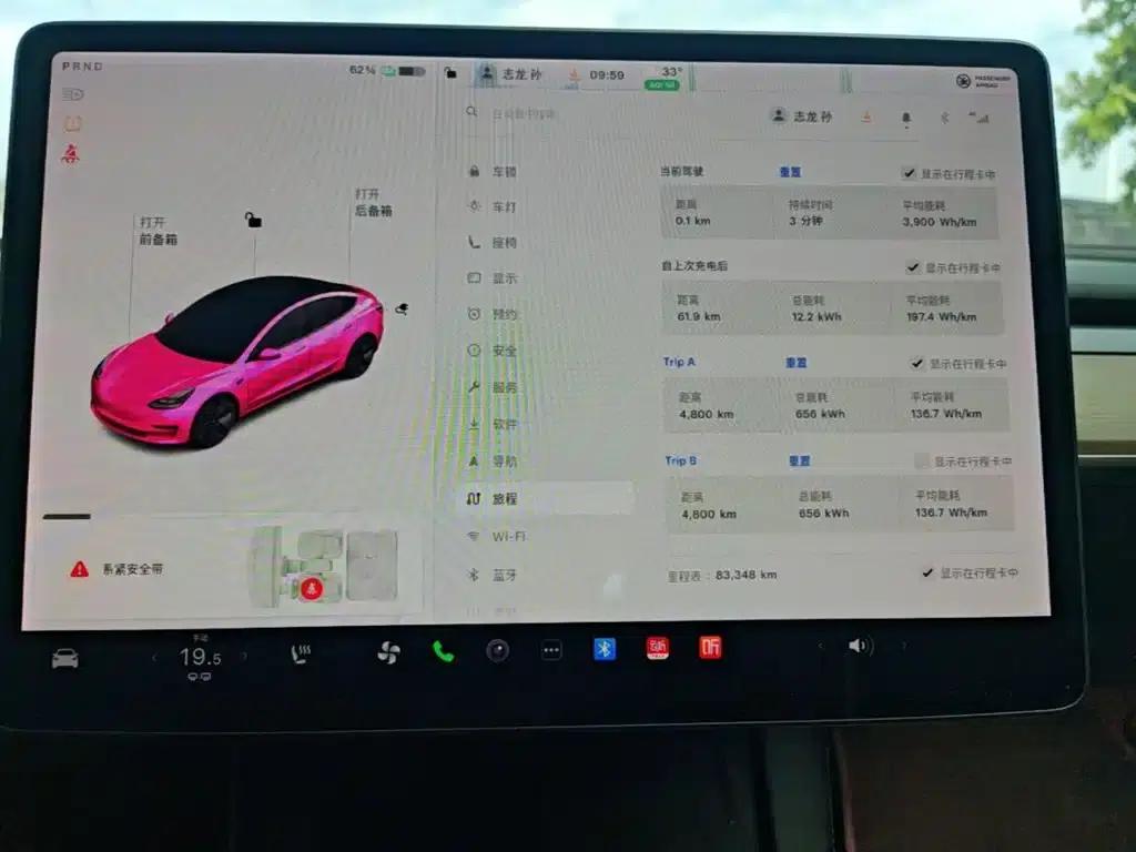 Model 3 2020 Standard Range Rear-Wheel Drive Upgrade — миниатюра 12