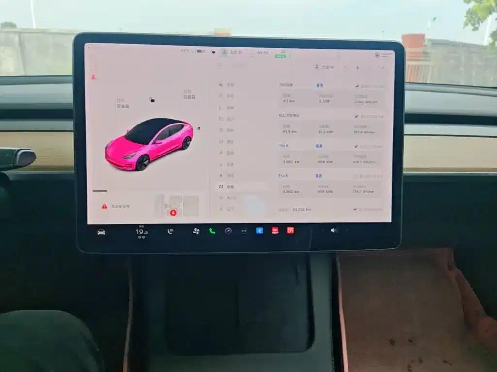 Model 3 2020 Standard Range Rear-Wheel Drive Upgrade — миниатюра 13