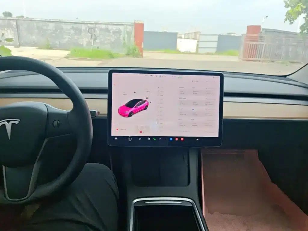 Model 3 2020 Standard Range Rear-Wheel Drive Upgrade — миниатюра 10