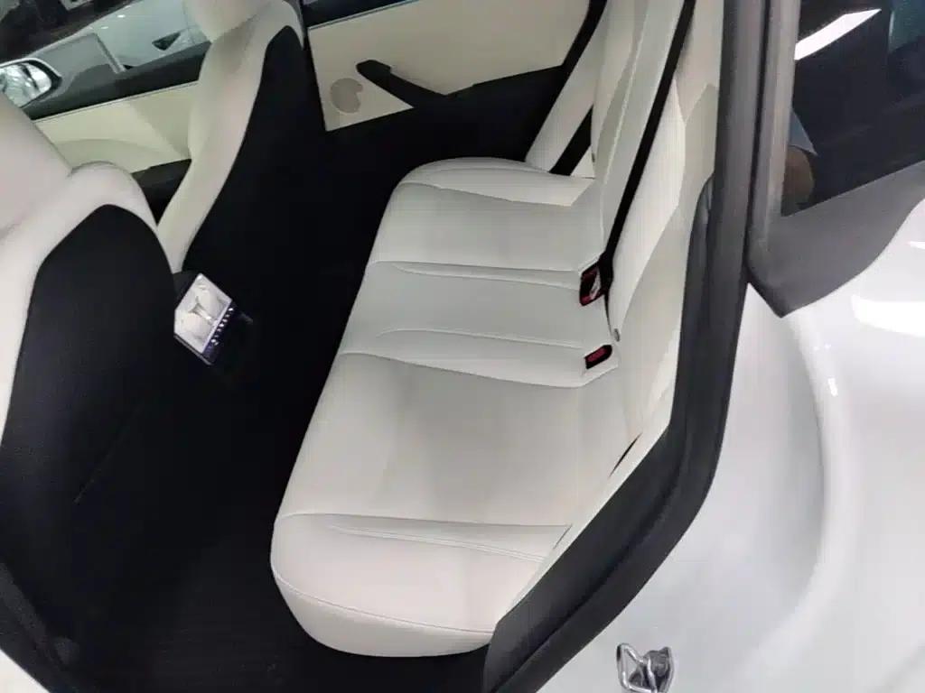 Model 3 2023 Rear-Wheel Drive — миниатюра 17