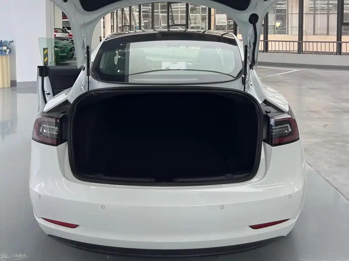 Imported 2019 Model 3 Standard Range Rear-Wheel Drive Upgrade — миниатюра 15