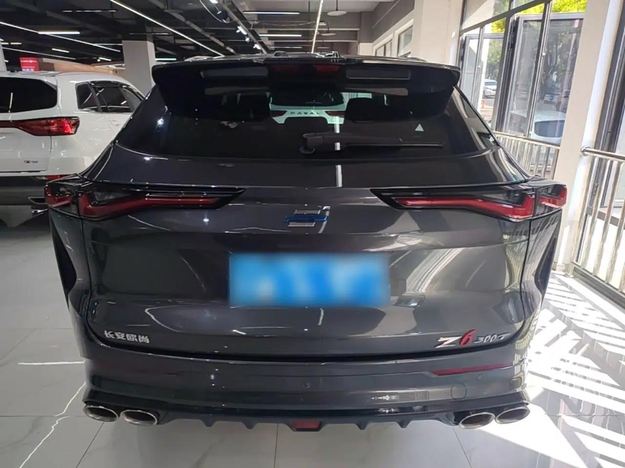CHANGAN OSHAN Z6 2023 Blue Whale 1.5T DCT Smart Luxury Model — миниатюра 5