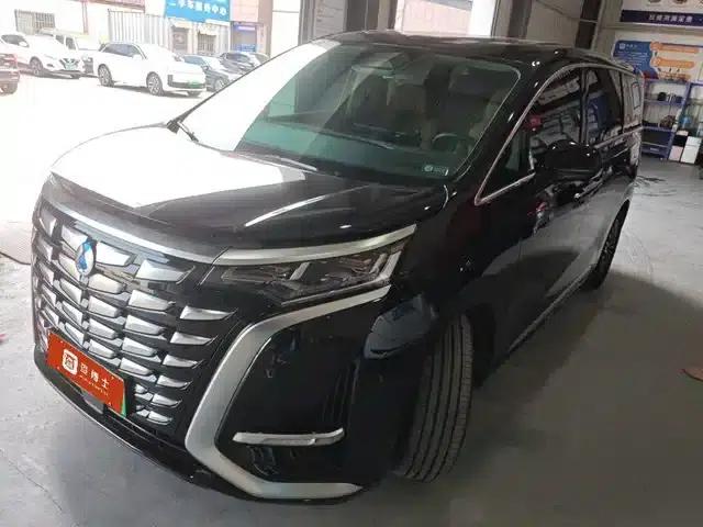 Denza D9 2024 DM-i 1050 Premium Edition