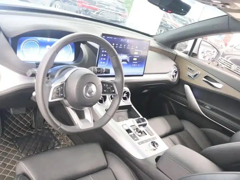 Denza X 2020 PHEV Flagship Edition — миниатюра 12