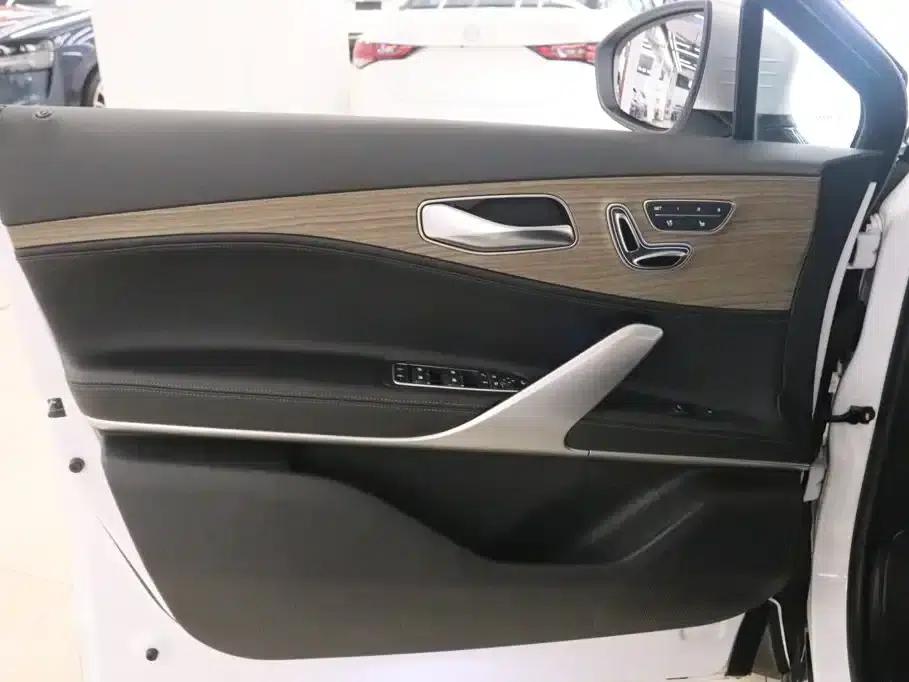 Denza X 2020 PHEV Flagship Edition — миниатюра 13