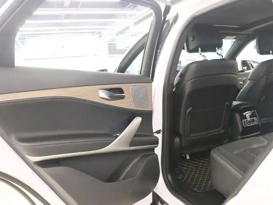 Denza X 2020 PHEV Flagship Edition — миниатюра 18