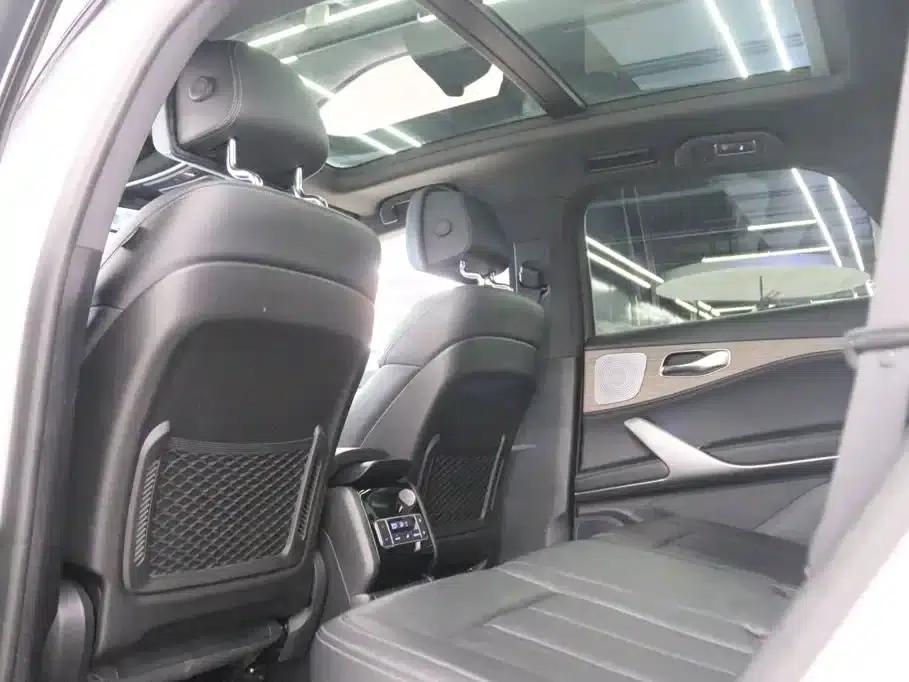 Denza X 2020 PHEV Flagship Edition — миниатюра 19