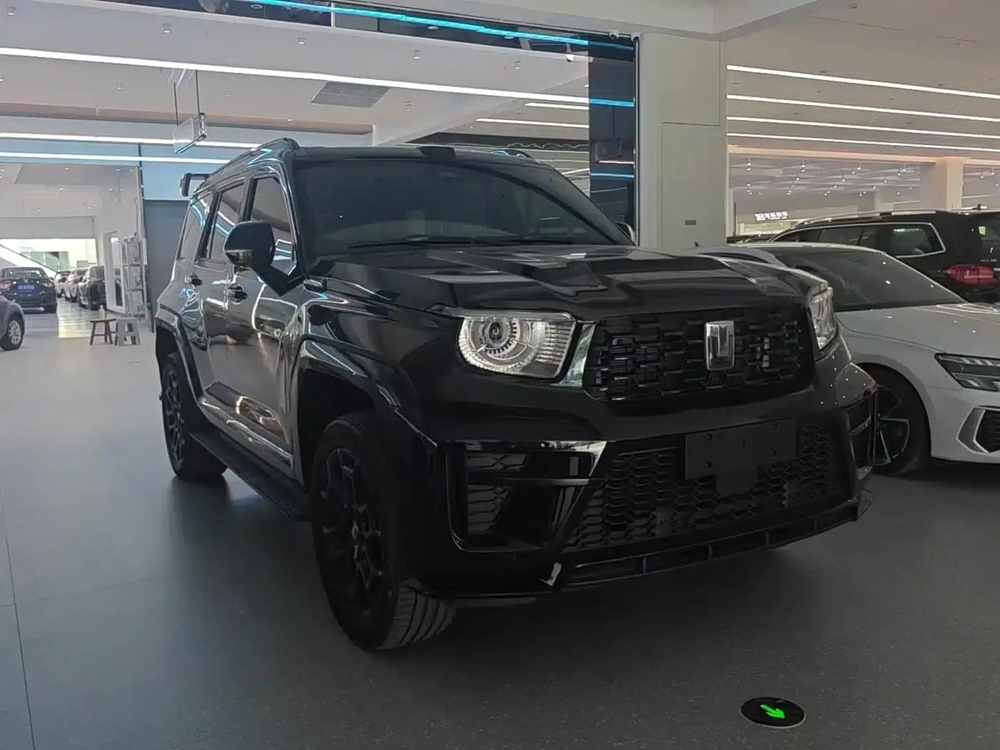 Tank 700 New Energy 2024 Hi4-T Ultimate Edition — миниатюра 3