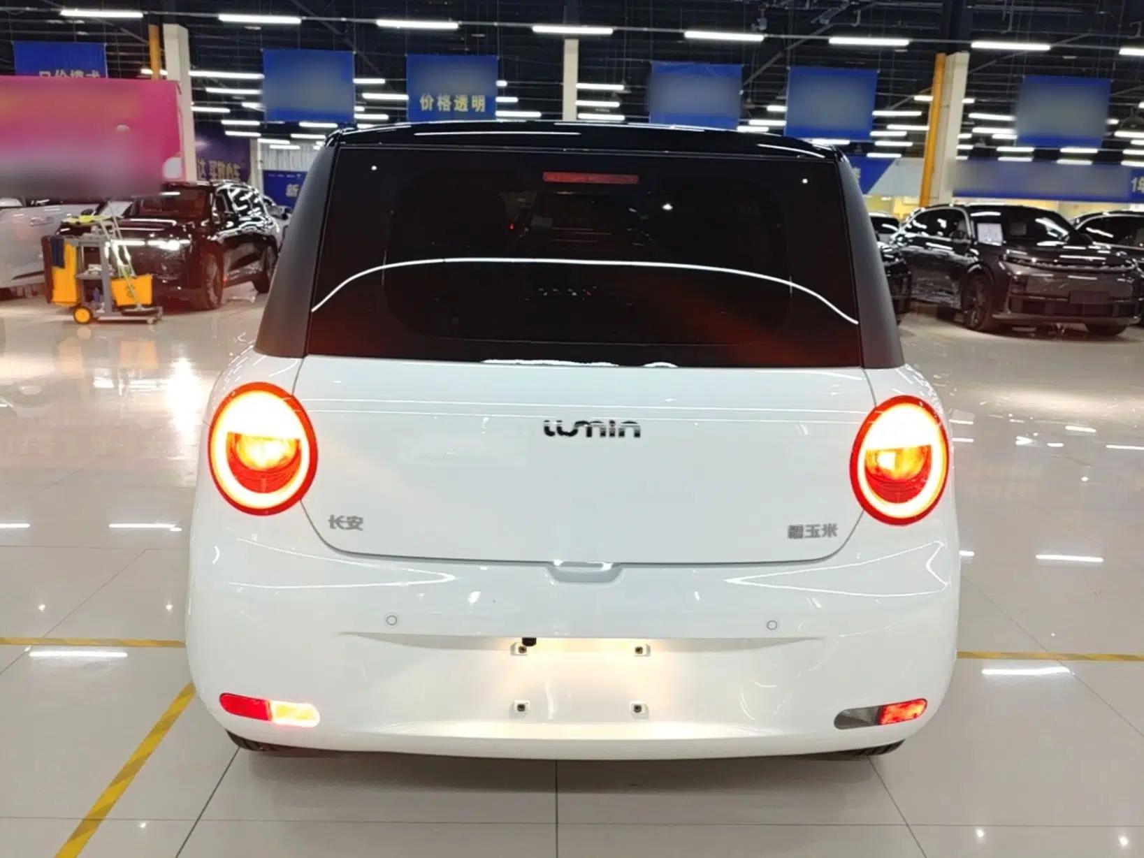 CHANGAN NEVO Lumin 2024 301km Launch Edition — миниатюра 5