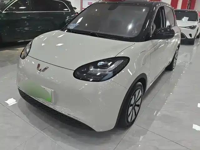 Wuling Bingo 2023 Model, 333km Range, Enjoy Edition