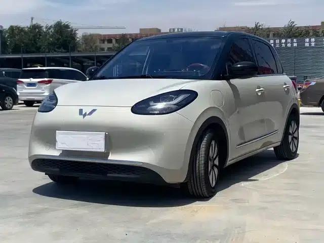 Wuling Bingo 2024 Model, 333km Range, Enjoy Edition