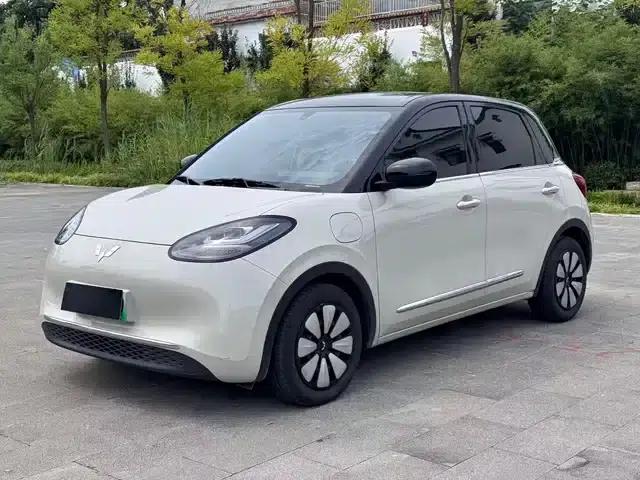 Wuling Bingo 2024 Model, 333km Range, Enjoy Edition