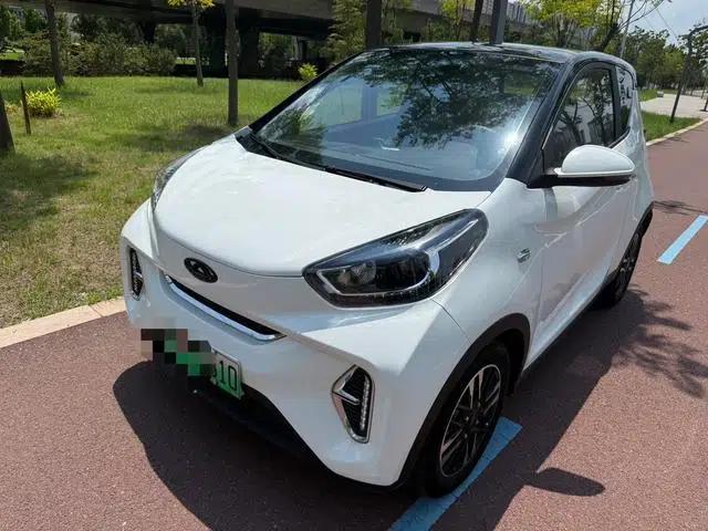 Little Ant 2022 Model, 300,000 Fans Edition, Sweetened Version, Lithium Iron Phosphate, 29.2kWh, 30kW, 301km/h