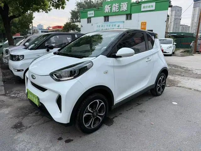 Little Ant 2021 Model, 200,000 Fan Edition, Oxygen Version, Lithium Iron Phosphate, 301km
