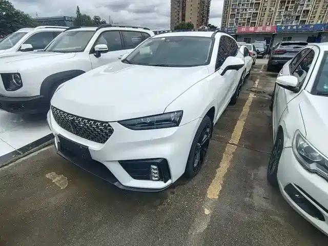 Weipai VV7 2020 2.0T Flagship Edition
