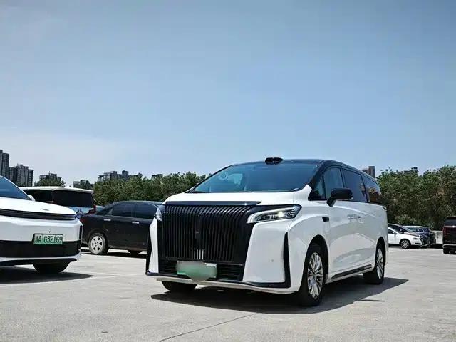 Weipai Gaoshan 2025 Model 4WD Gaoshan 8