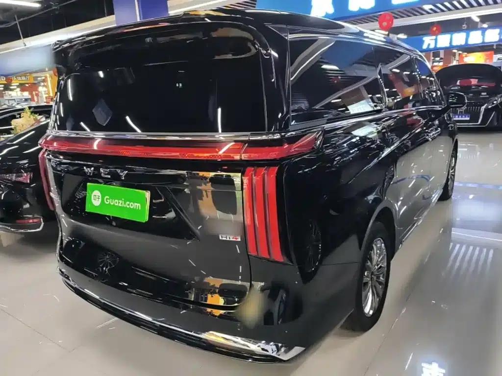 Weipai Gaoshan 2025 Model 4WD Gaoshan 8 — миниатюра 7