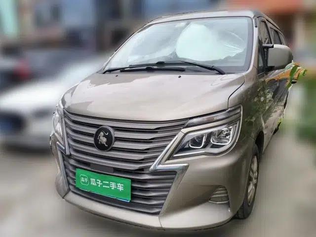 FORTHING Lingzhi 2022 Revised Version Striving Edition M5L 2.0L Base Model 9-Seater