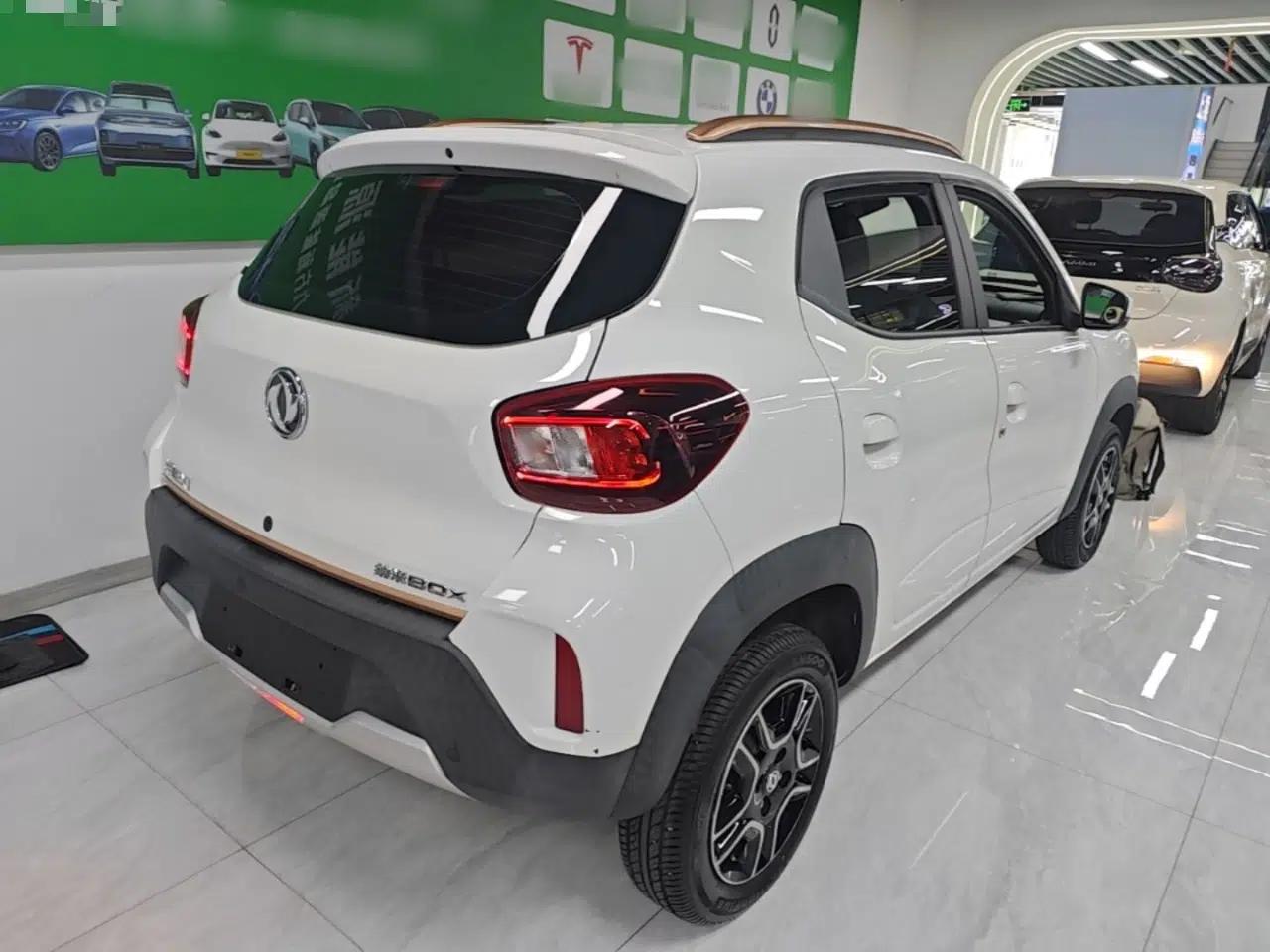 Dongfeng NAMMI EX1 2022 Revised PRO Enjoyment Version — миниатюра 6