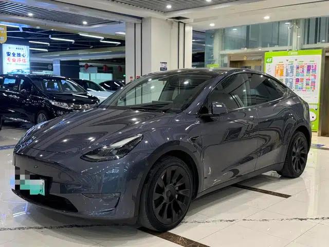 Model Y 2021 Long Range All-Wheel Drive