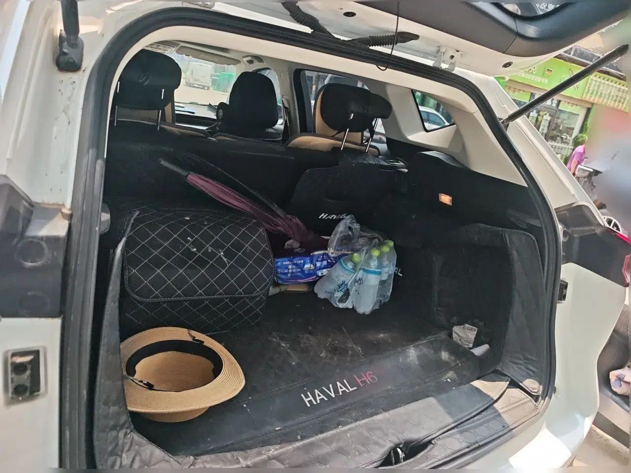 Haval H6 2023 National Trend Edition 1.5T Automatic Urban Version — миниатюра 19