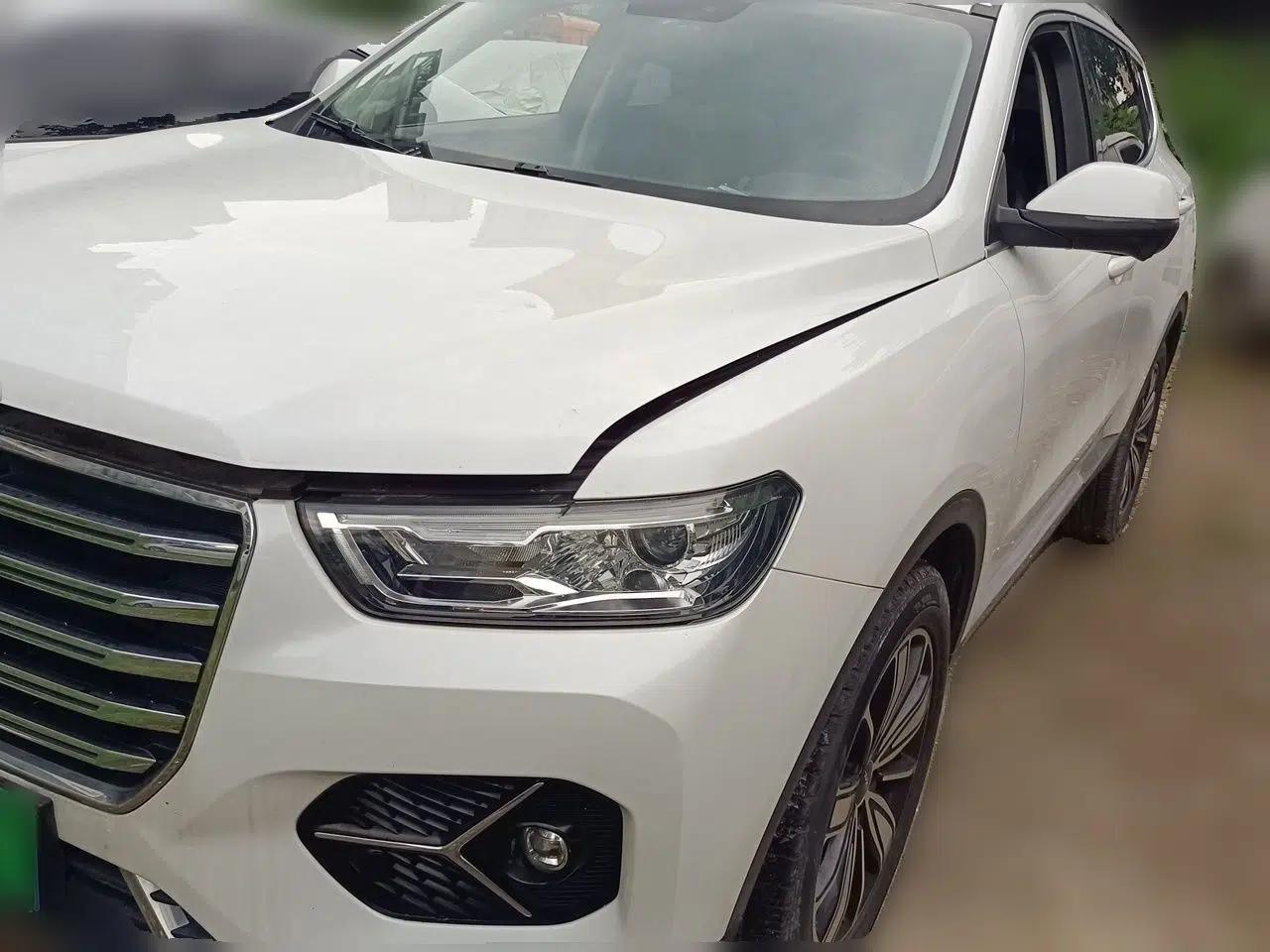 Haval H6 2020 1.5 GDIT Automatic Platinum Champion Edition — миниатюра 1