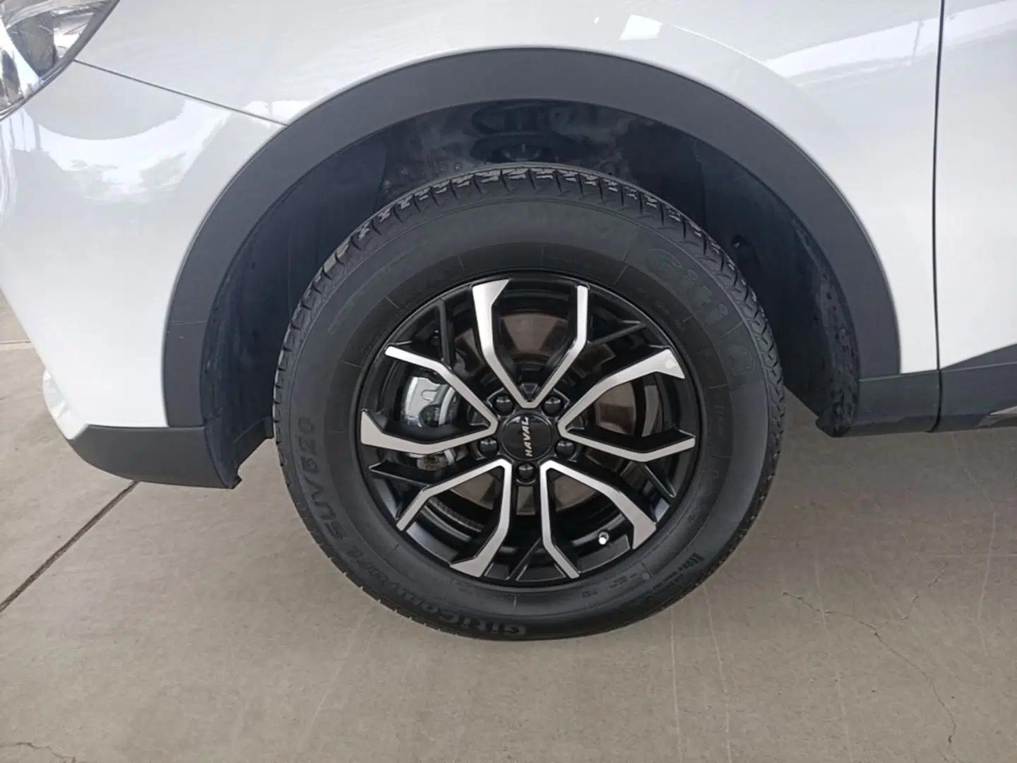 Haval H6 2021 National Trend Edition 1.5T Automatic Urban Version — миниатюра 10