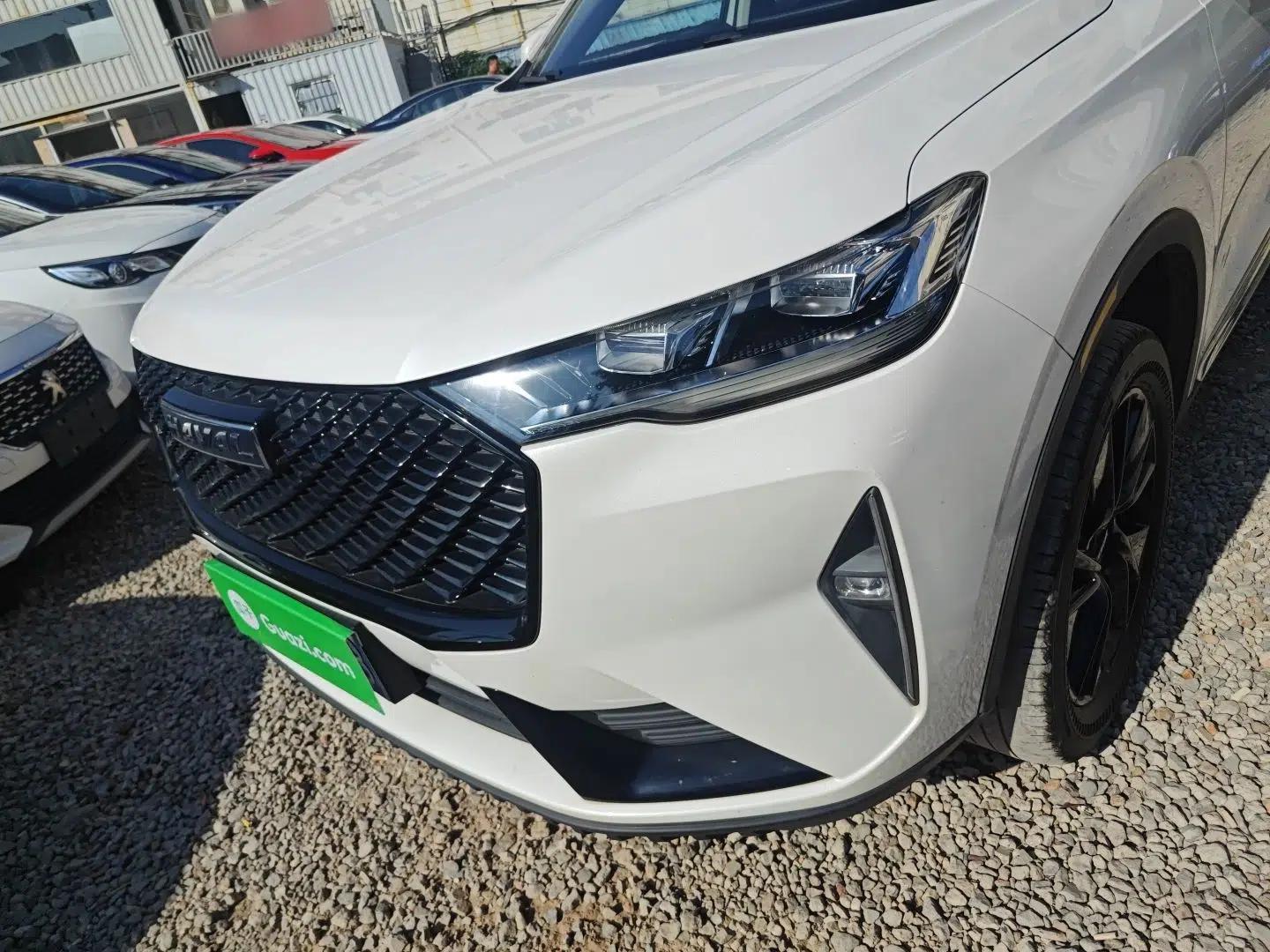 Haval H6 2021 3rd Generation 2.0T Automatic All-Wheel Drive Max — миниатюра 8