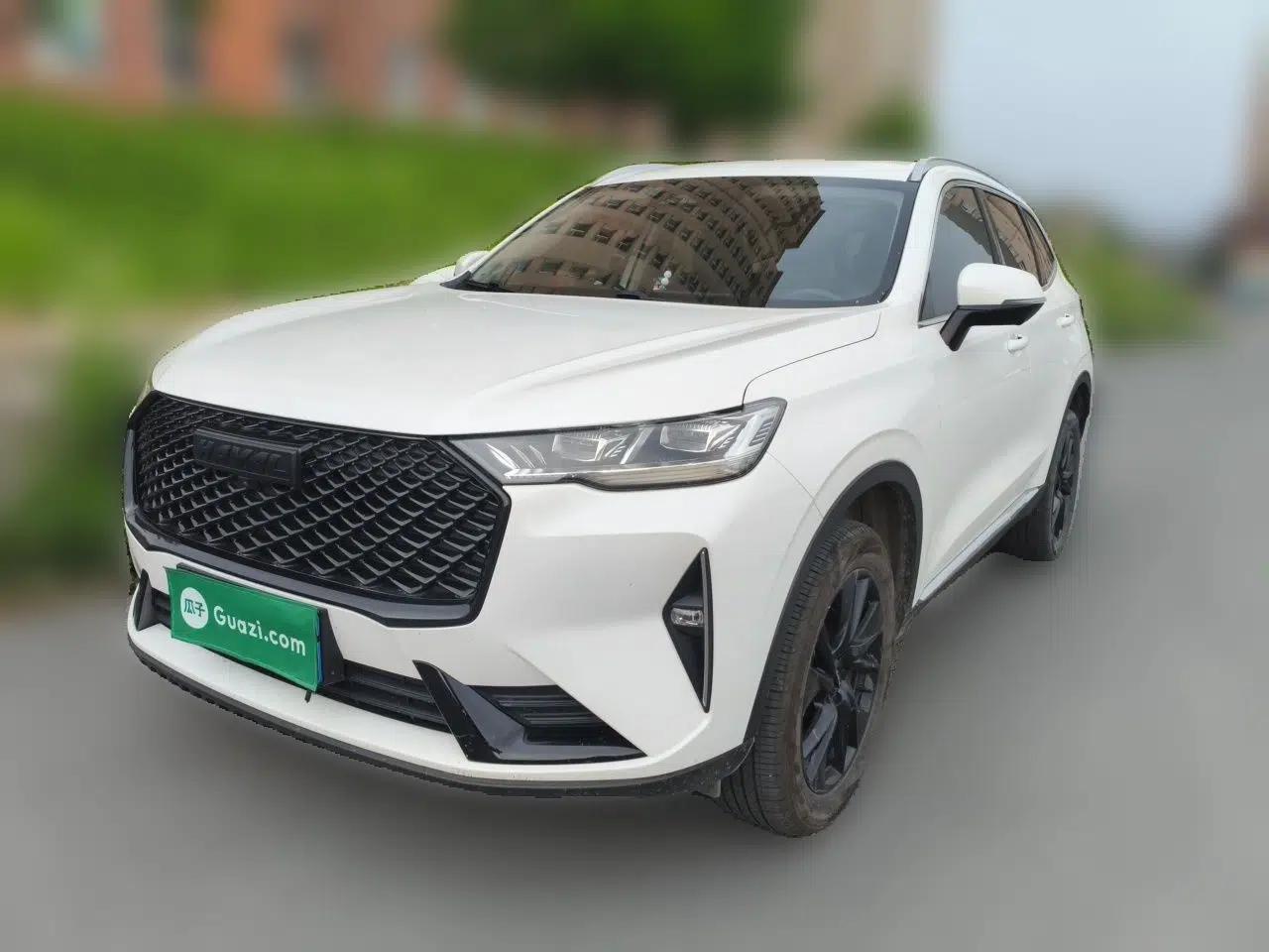 Haval H6 2021 3rd Generation 2.0T Automatic Two-Wheel Drive Max — миниатюра 1