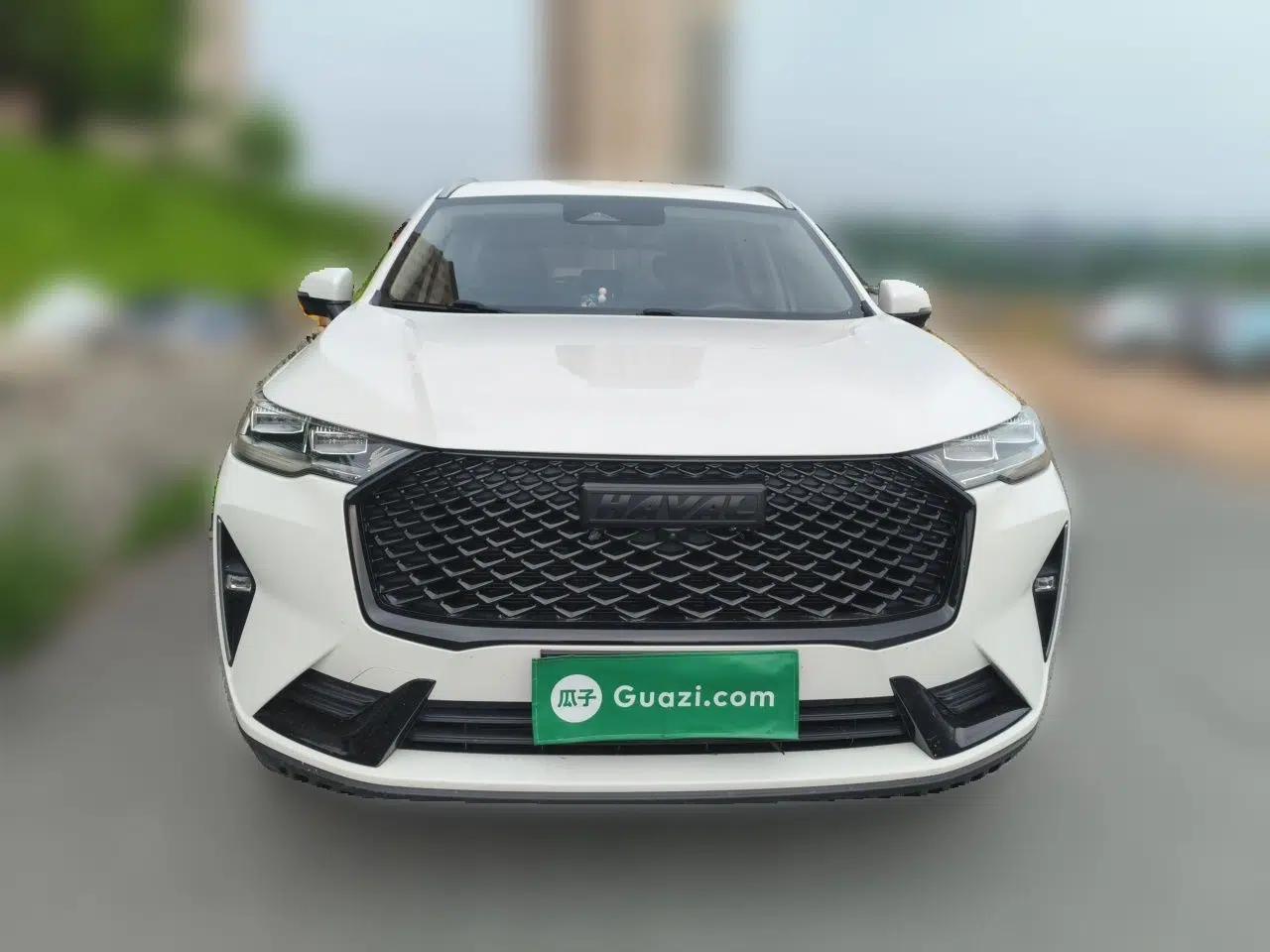 Haval H6 2021 3rd Generation 2.0T Automatic Two-Wheel Drive Max — миниатюра 2