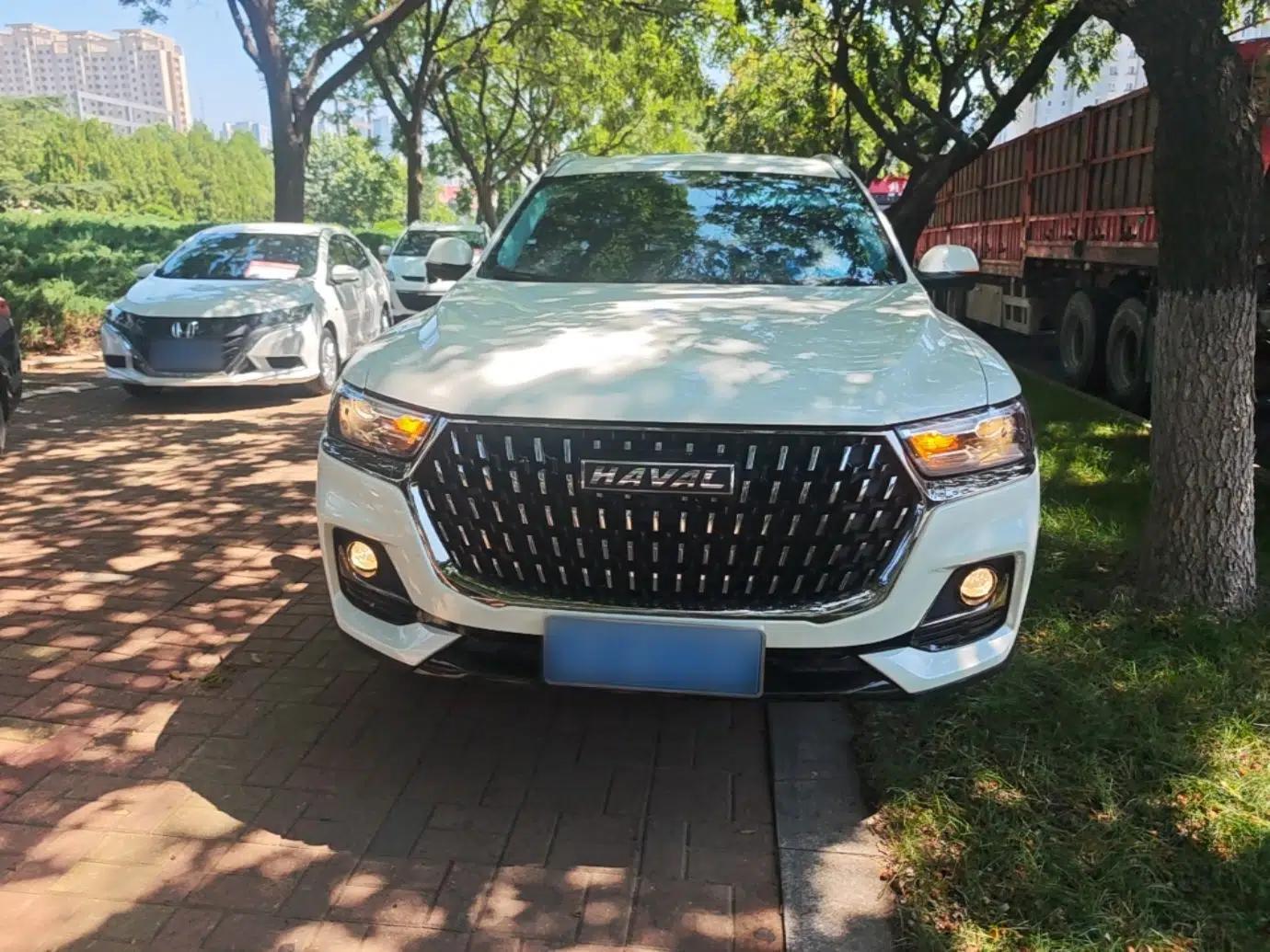 Haval H6 2023 National Trend Edition 1.5T Automatic Urban Version — миниатюра 2