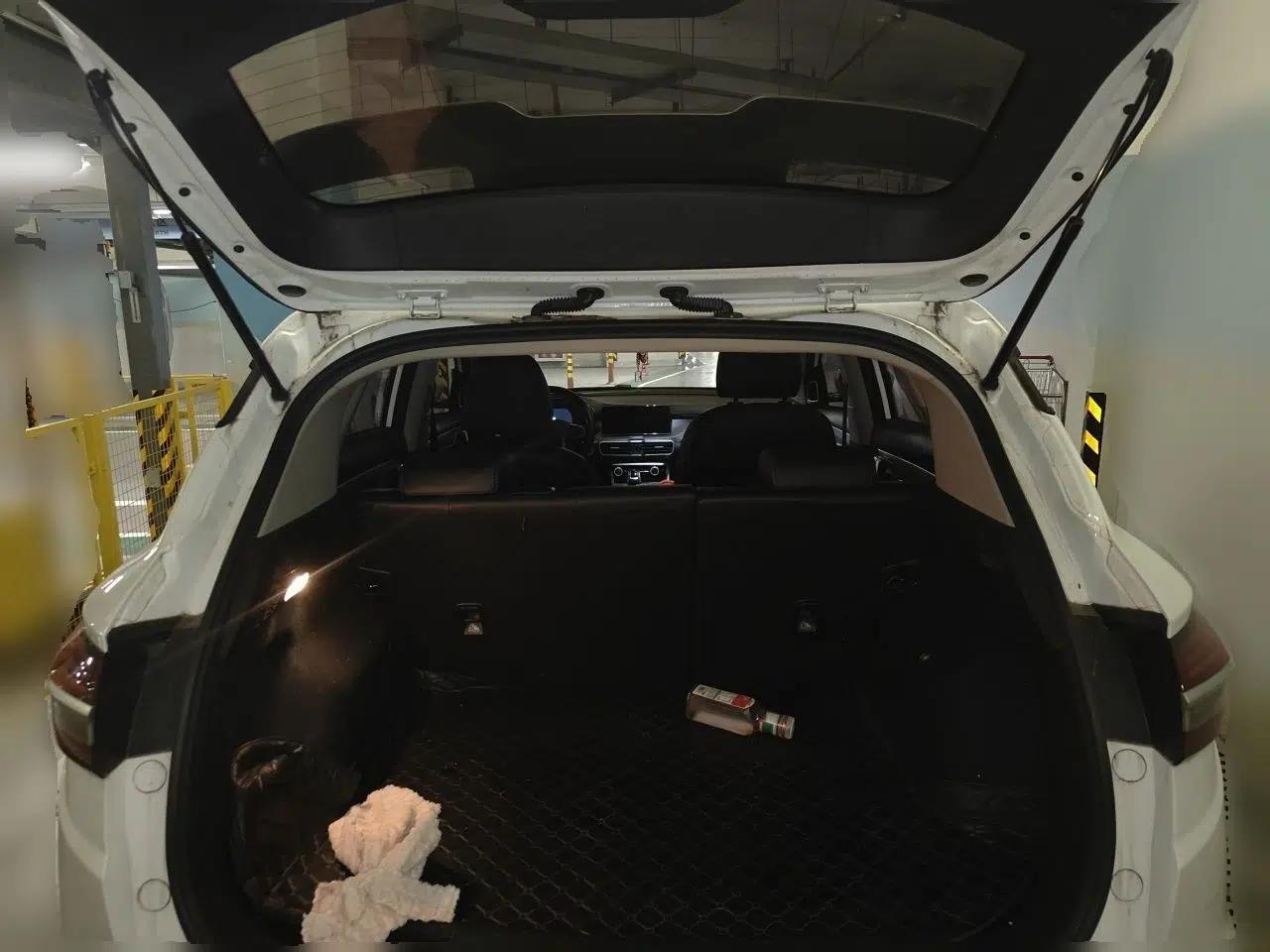 Geely Auto Coolray New Energy 2020 1.5T ePro Higher — миниатюра 19